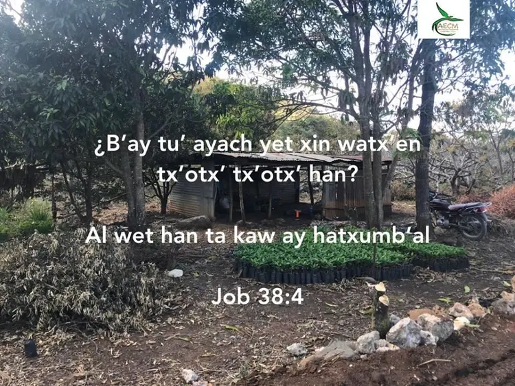 Job 38:2